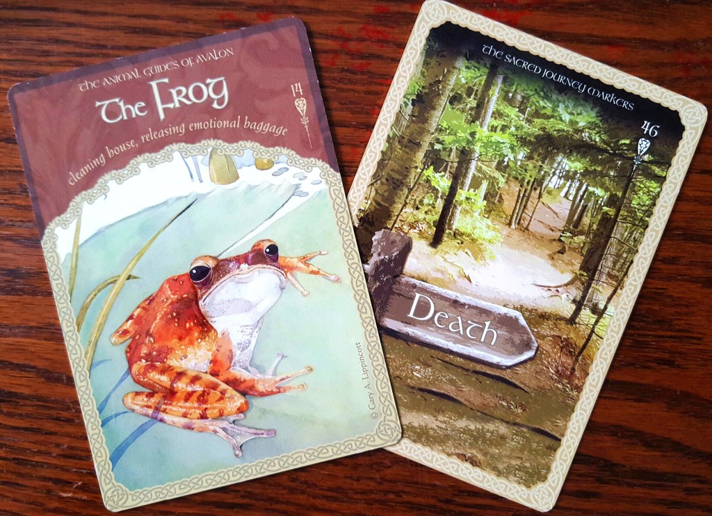 frog and death card