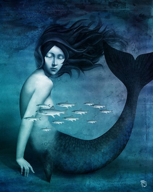 christian schloe art pisces underwater